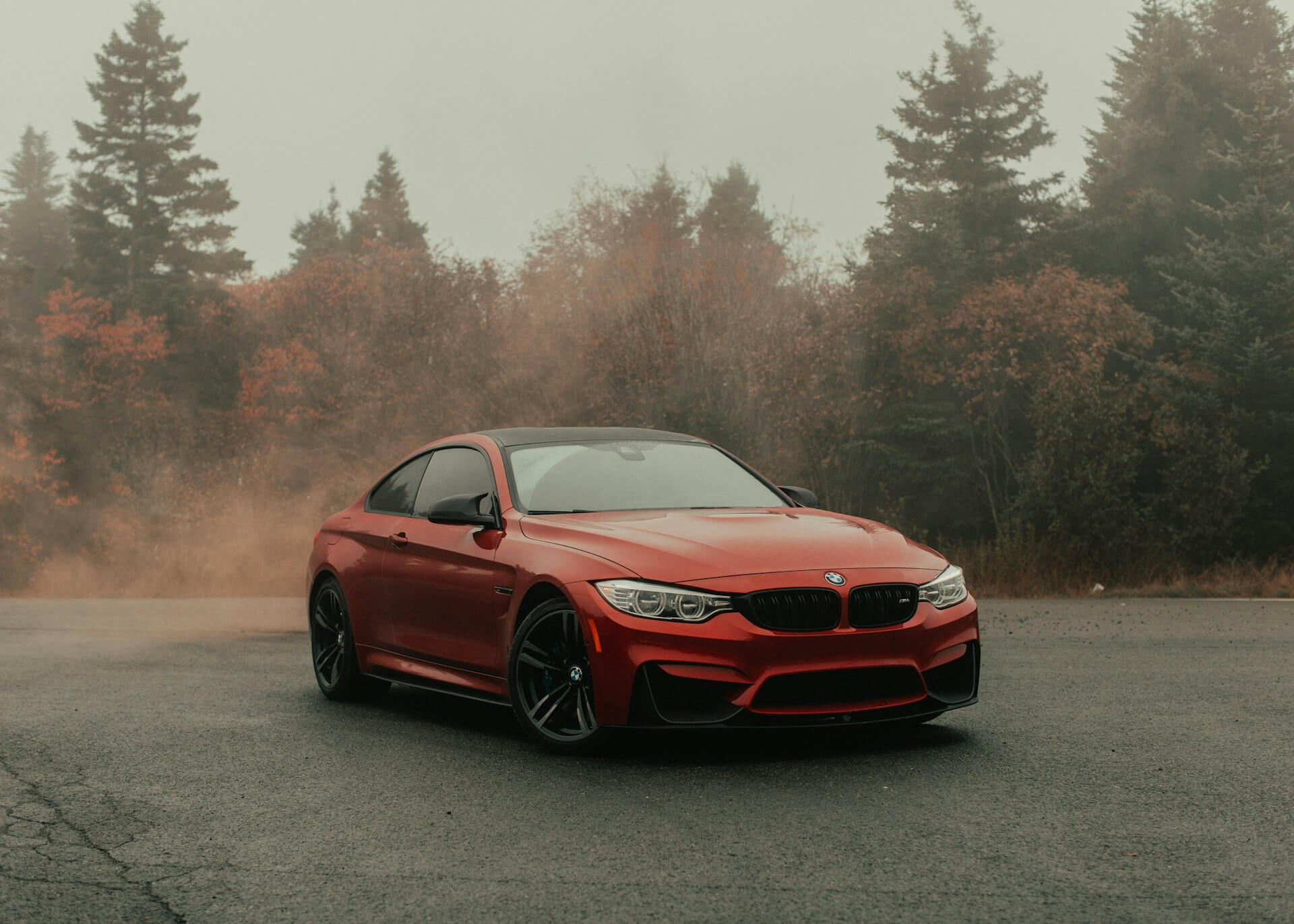 dpf deletes in suffolk